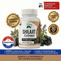 Shilajit: Recuperá tu energía, tu vitalidad y tus ganas en UNA SEMANA